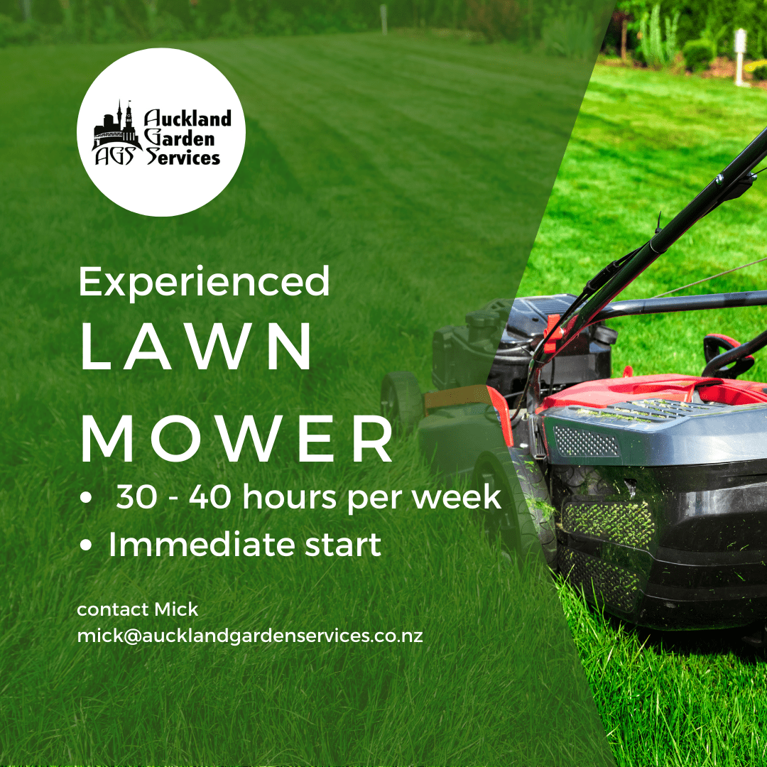 Experienced or Enthusiastic Lawn Mower Wanted